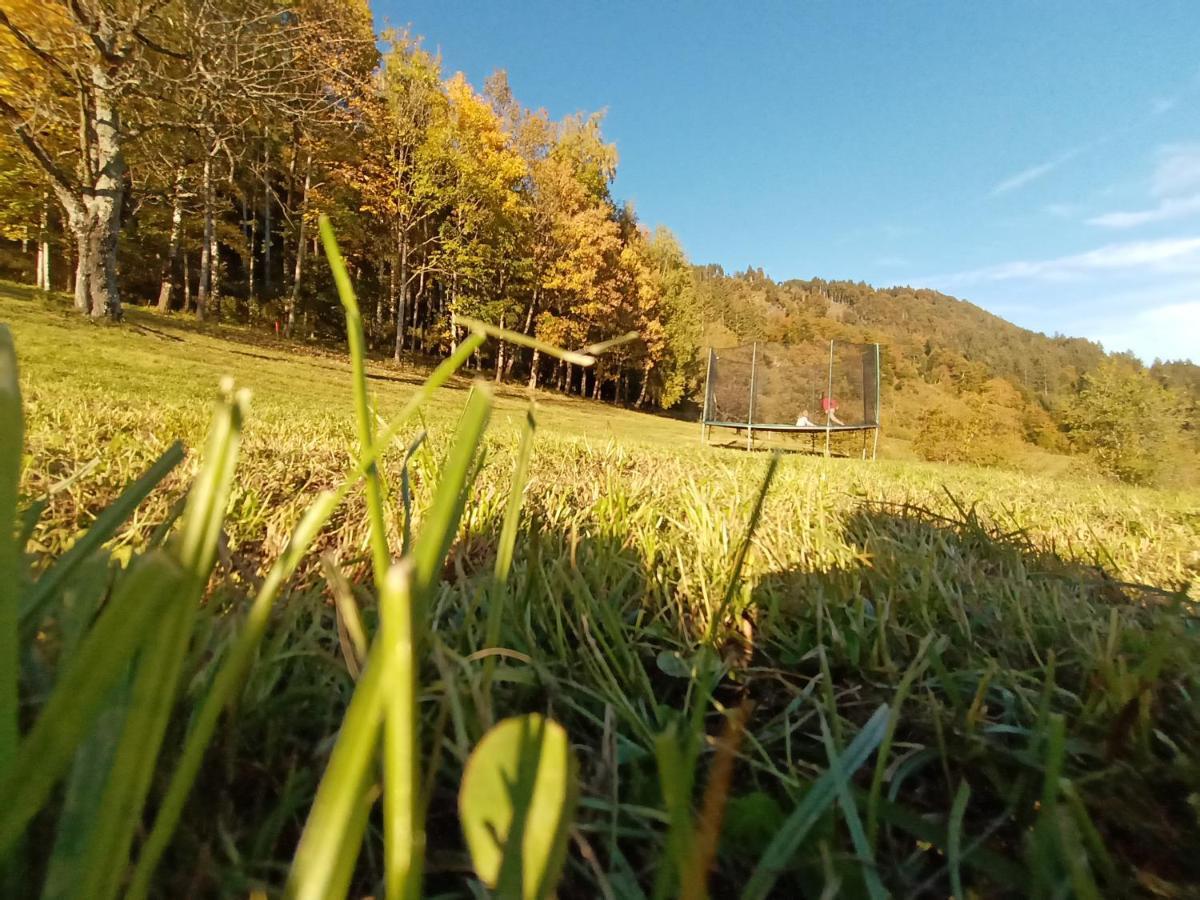 Waldner'S Ferienwohnung Hermagor-Pressegger See Exteriér fotografie